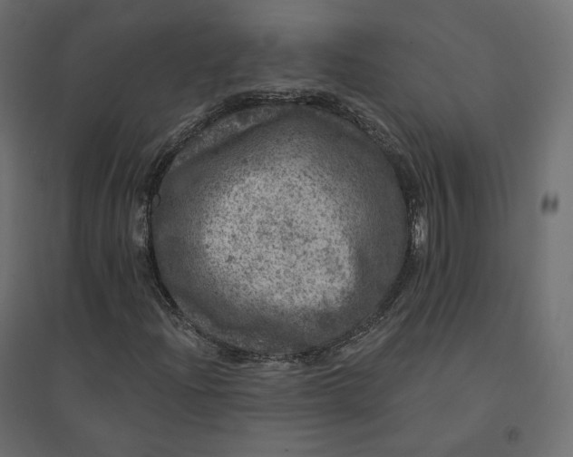 X0000094441204200711211448