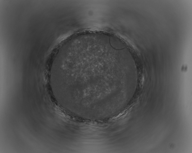 X0000094441207200711211448