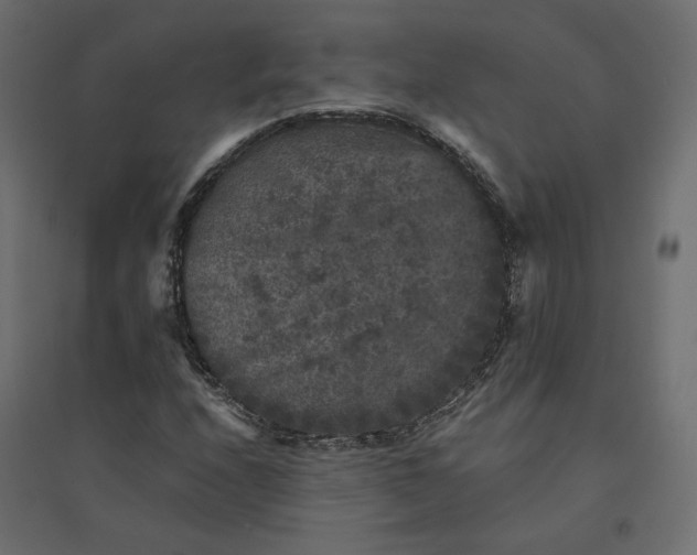 X0000094441208200711211448