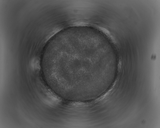 X0000094441209200711211448