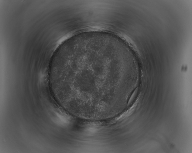 X0000094441210200711211448