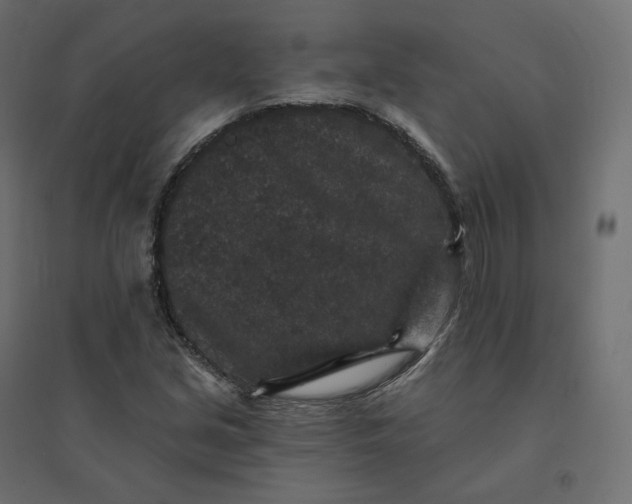 X0000094441213200711211448