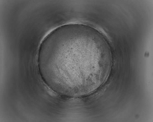 X0000094441216200711211448