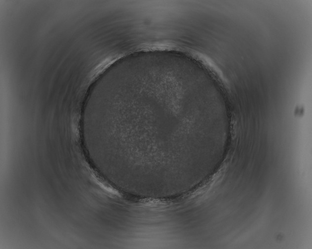 X0000094441217200711211448