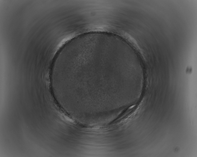 X0000094441218200711211448