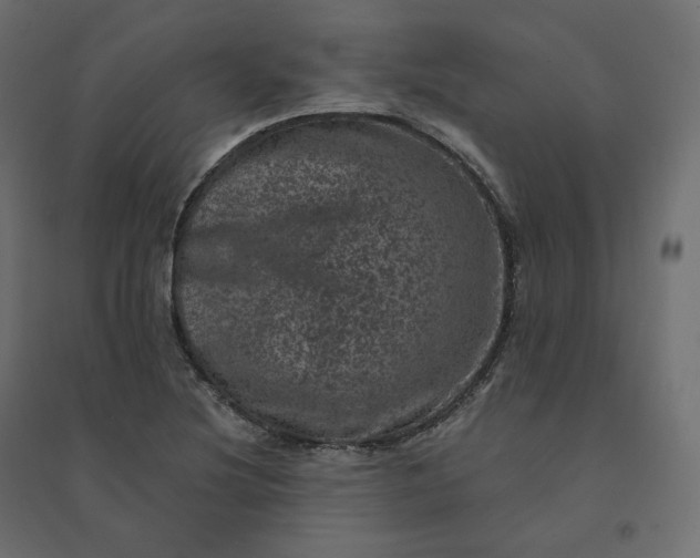 X0000094441220200711211448