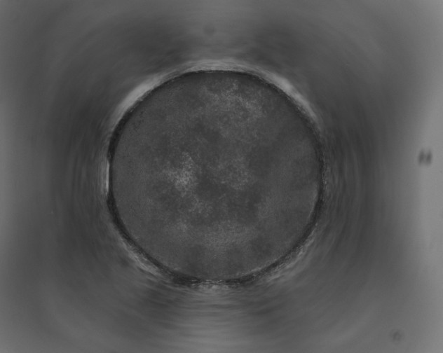 X0000094441221200711211448