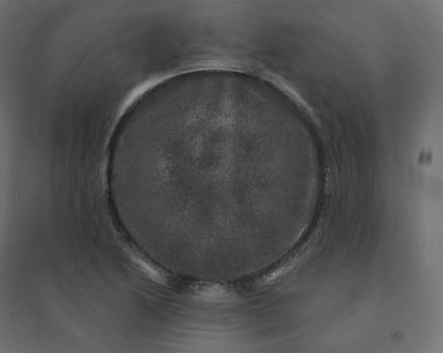 X0000094441222200711211448