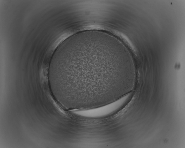 X0000094441225200711211448