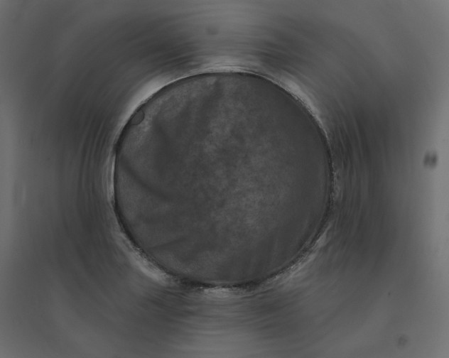 X0000094441227200711211448