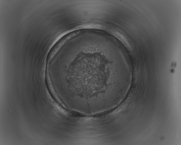 X0000094441228200711211448