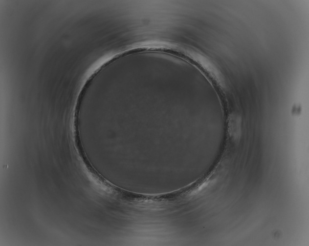 X0000094441229200711211449