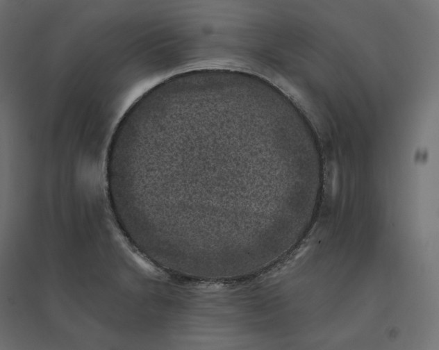 X0000094441230200711211449