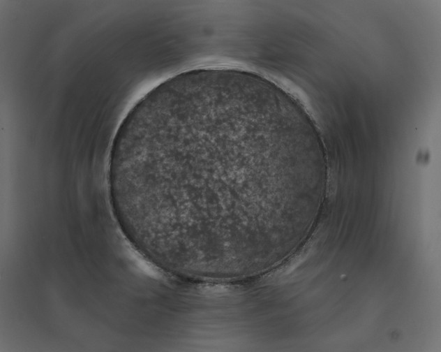 X0000094441231200711211449