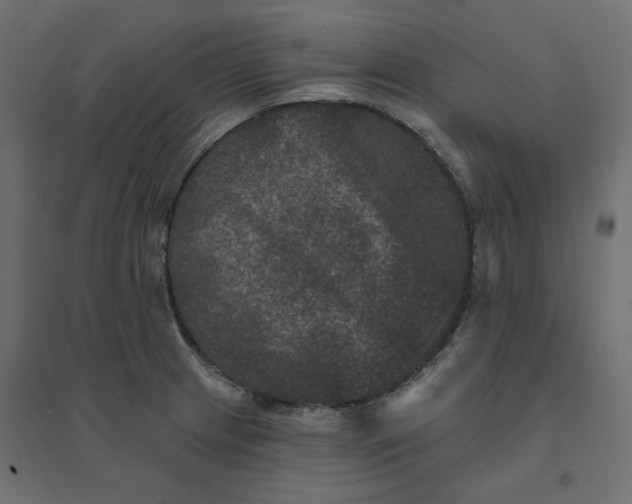 X0000094441233200711211449