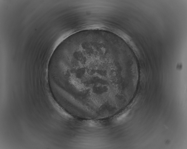 X0000094441234200711211449