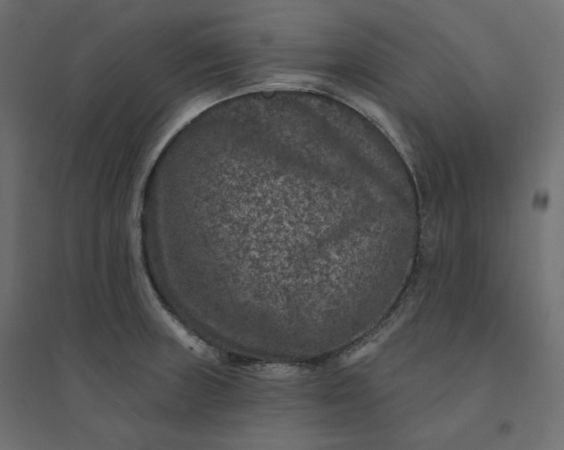 X0000094441235200711211449