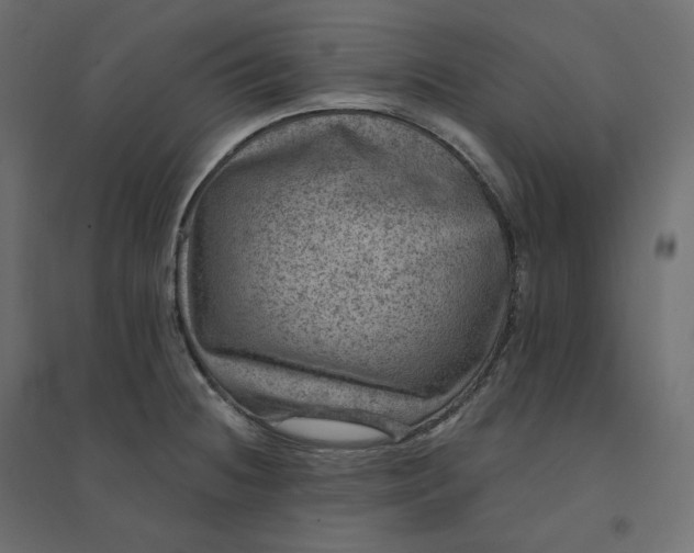 X0000094441236200711211449