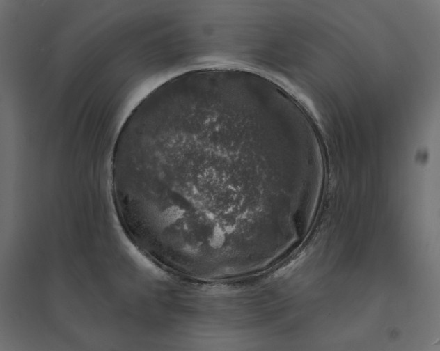 X0000094441239200711211449