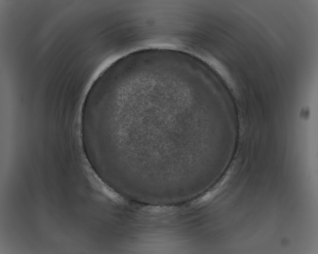 X0000094441240200711211449