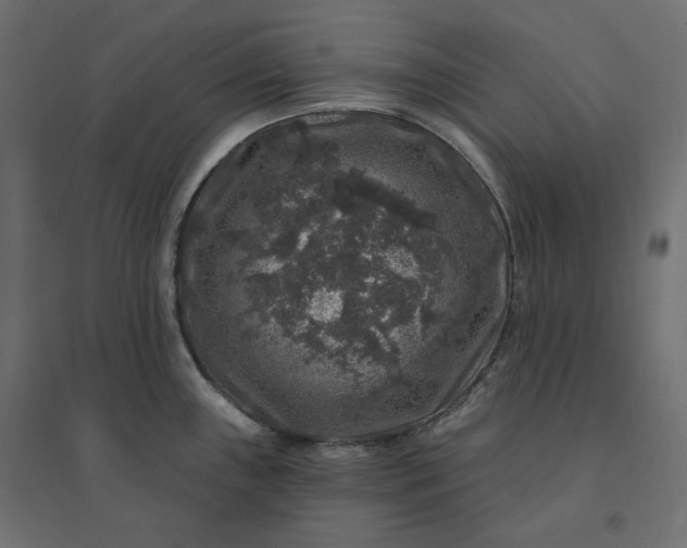 X0000094441243200711211449