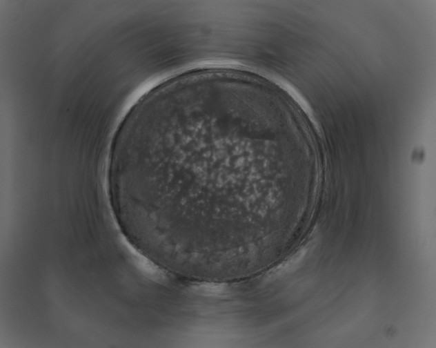 X0000094441245200711211449