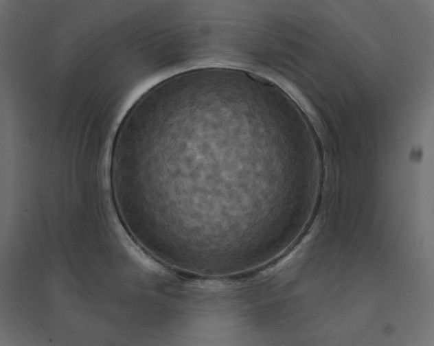 X0000094441246200711211449