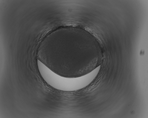 X0000094441249200711211448