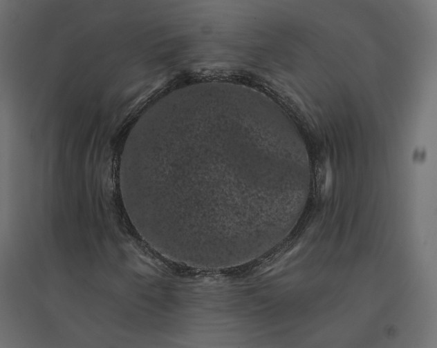 X0000094441250200711211448