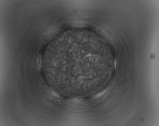 X0000094441251200711211448