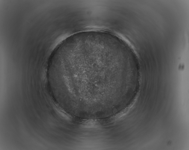 X0000094441259200711211448