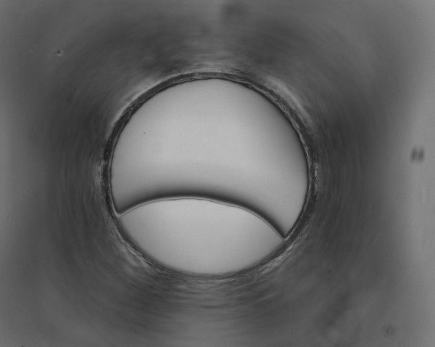 X0000094441260200711211448