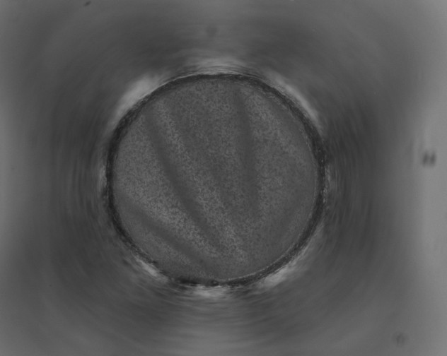 X0000094441261200711211448