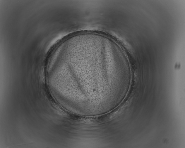 X0000094441262200711211448