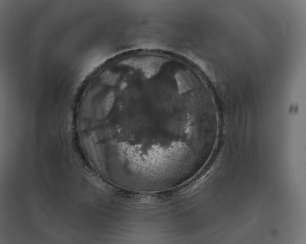 X0000094441263200711211448