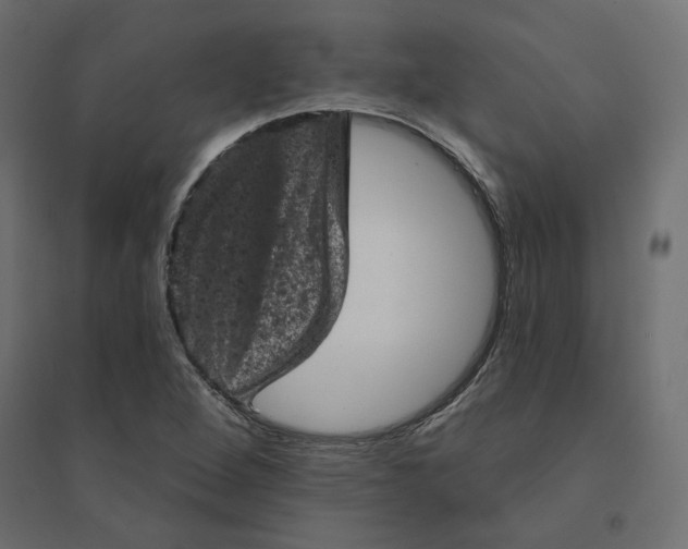 X0000094441264200711211448