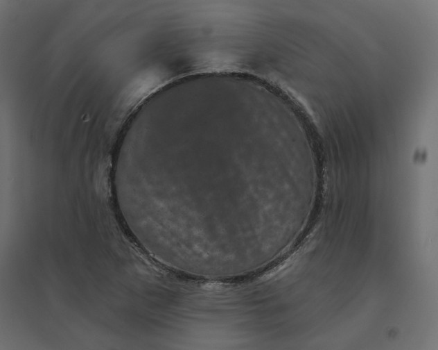 X0000094441265200711211448