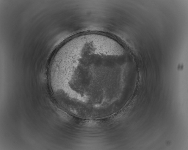 X0000094441266200711211448