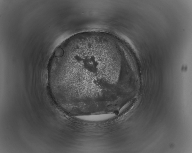 X0000094441267200711211448