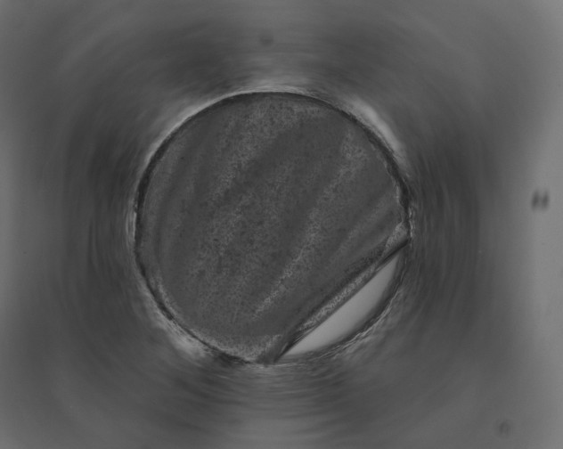 X0000094441268200711211448