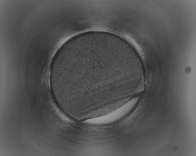 X0000094441272200711211448