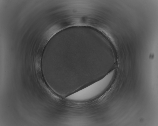 X0000094441273200711211448