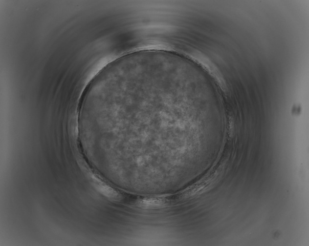 X0000094441274200711211448