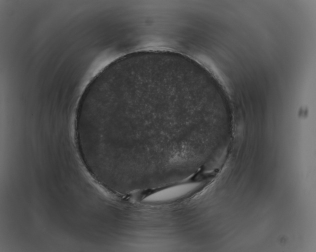 X0000094441277200711211448