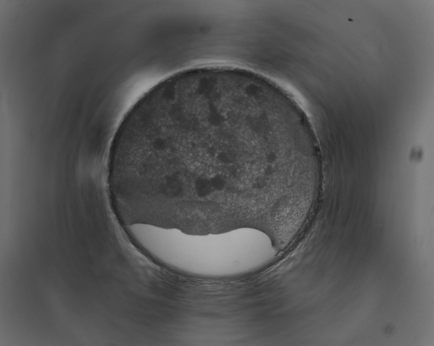 X0000094441279200711211448