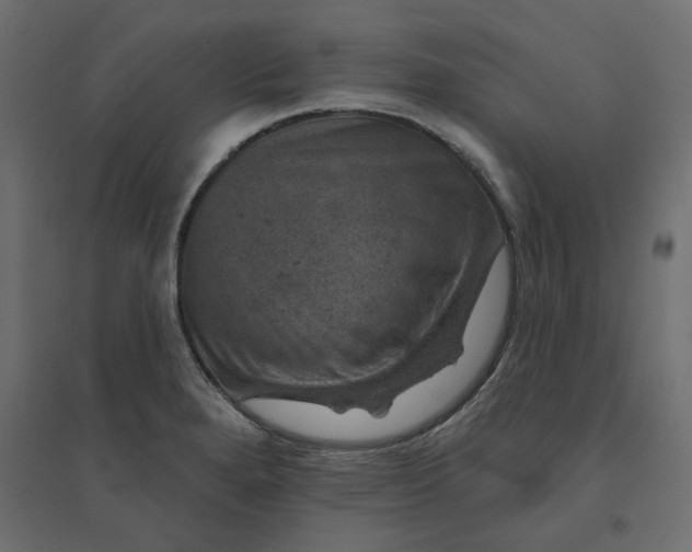 X0000094441280200711211448