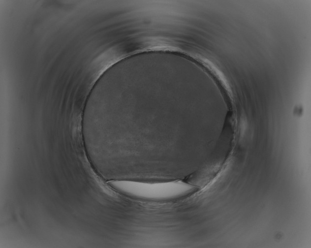 X0000094441281200711211448