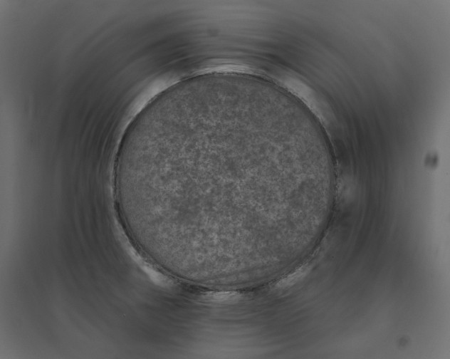 X0000094441282200711211448