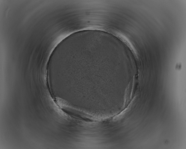 X0000094441284200711211448