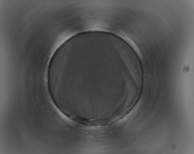 X0000094441285200711211448